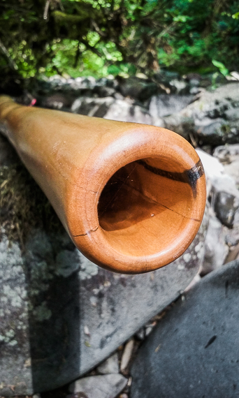 didj 652